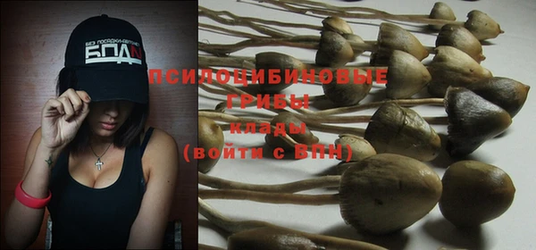 дживик Костерёво