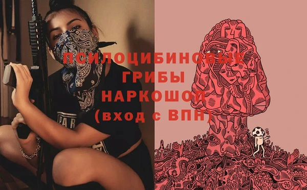 дурь Корсаков