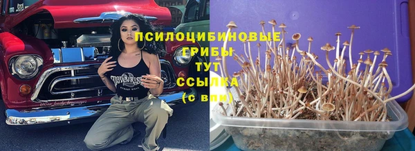 a pvp Коряжма