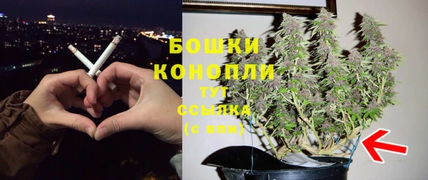 a pvp Коряжма