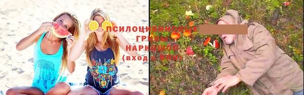 дживик Костерёво