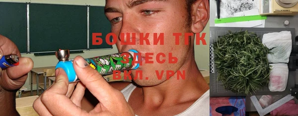 дживик Костерёво