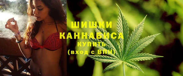 дживик Костерёво