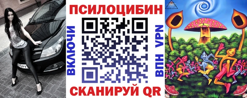 Купить  Калининград  Галлюциногенные грибы Cubensis 