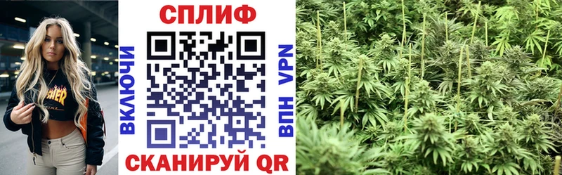 Каннабис индика  Купить  Калининград 